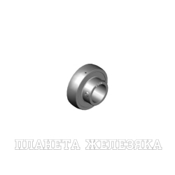 Подшипник нержавеющий UC206BSS2RSBECO