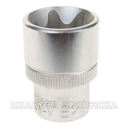 Головка торцевая Е20х28мм 3/8" TORX FORCE F-53620 /1/20