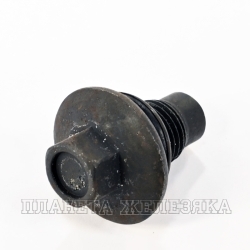 Пробка FORD Focus(1,2),Mondeo(2,3,4),Galaxy,Fiesta5,Escort7,Transit сливная поддона (с прокладкой)