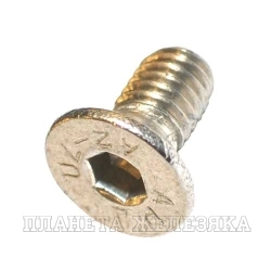 Болт М6х10 TORX-PIN с потайной нержав.