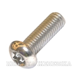 Винт М10х35 TORX A2