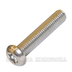 Винт М10х45 TORX A2