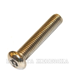 Винт М10х30 TORX-PIN A2