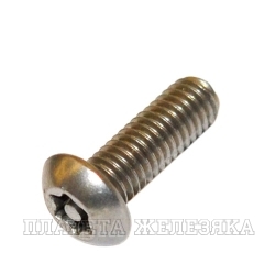 Винт М4х10 TORX-PIN A2