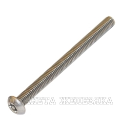 Винт М4х50 TORX-PIN A2