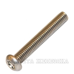 Винт М6х40 TORX-PIN A2