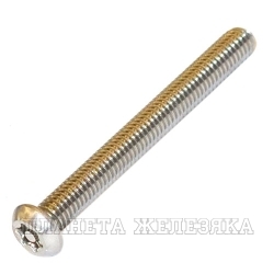 Винт М6х55 TORX-PIN A2