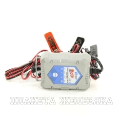 Устройство зарядное 12В Battery Service Moto