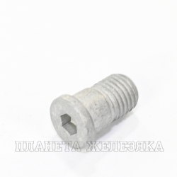 Винт М10х1.25 GM крепления переднего тормозного диска OEM