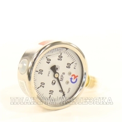 Манометр 0..600 бар 63мм тип 213.53.. G1/4 (снизу) (шкала MPa)