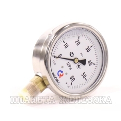Манометр 0..600 бар 100мм тип 213.53.. G1/2 (снизу) (шкала MPa)