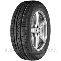 Шина PIRELLI Formula Energy 107V XL