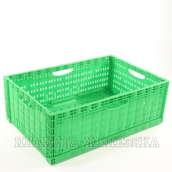 Ящик полимерный складной 600х400х180мм зеленый IPLAST