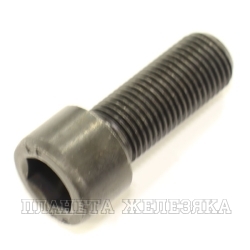 Болт М12х1.25х30 под шестигранный ключ 8.8