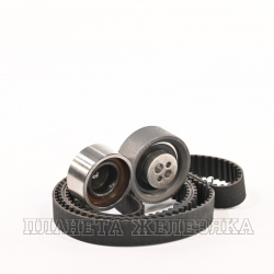 Комплект ГРМ AUDI 80 100 A4 A6 A8 VW 2.4-2.8 V6 (ремень+2 ролика) INA