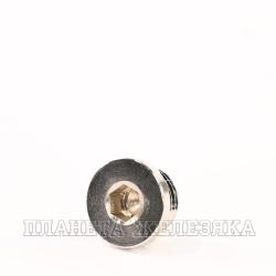 Заглушка G1/4(M) внутр.шестигр.SW=6мм