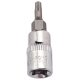 Головка-бита TORX T15 1/4" L=40 мм ЭВРИКА