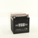Аккумулятор для мотоциклов TCS 12V 30а/ч AGM YTX30L-BS cухоз.+электр