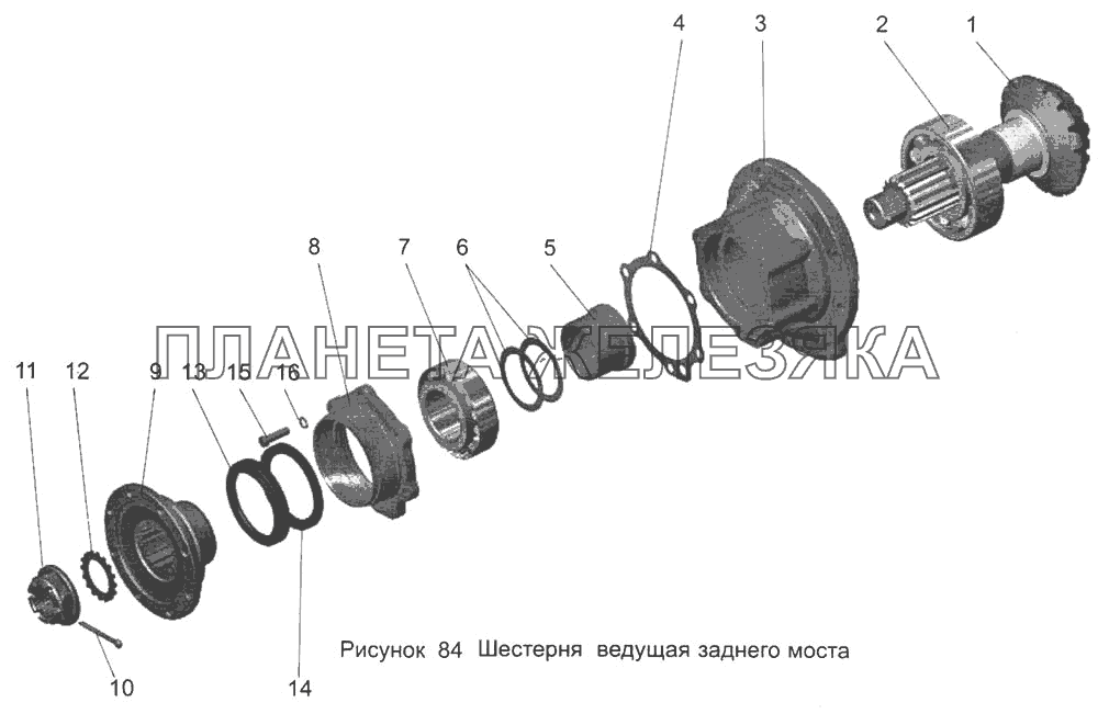 Шестерня ведущая заднего моста 105-2402021 МАЗ-103