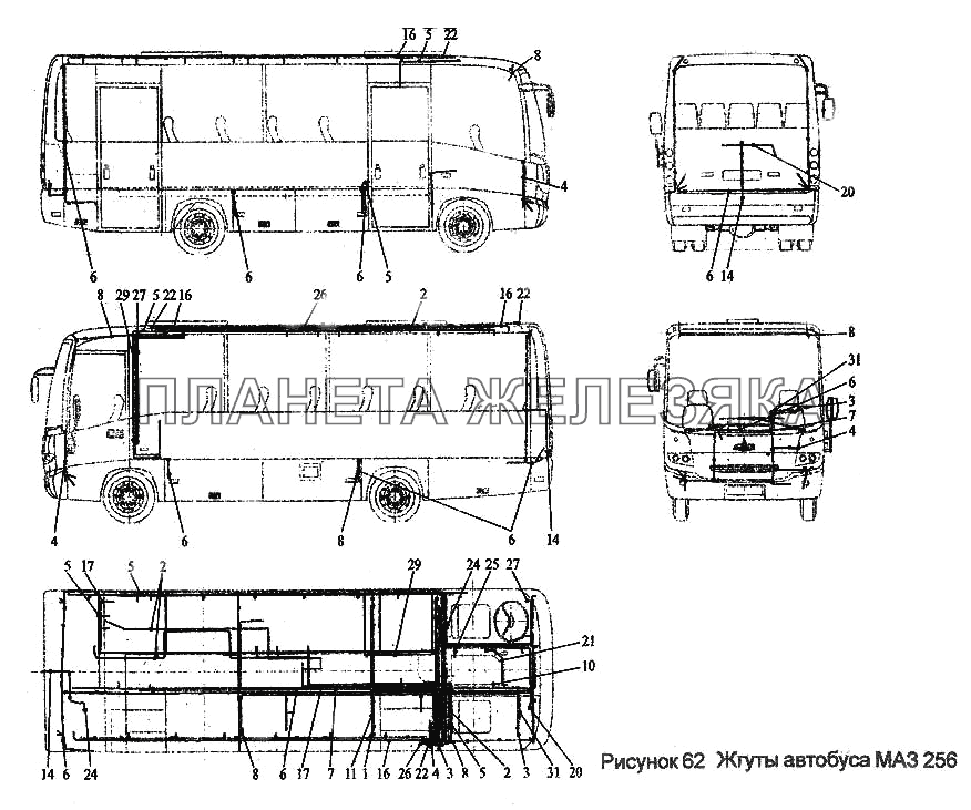 Жгуты автобуса МАЗ 256 МАЗ-256