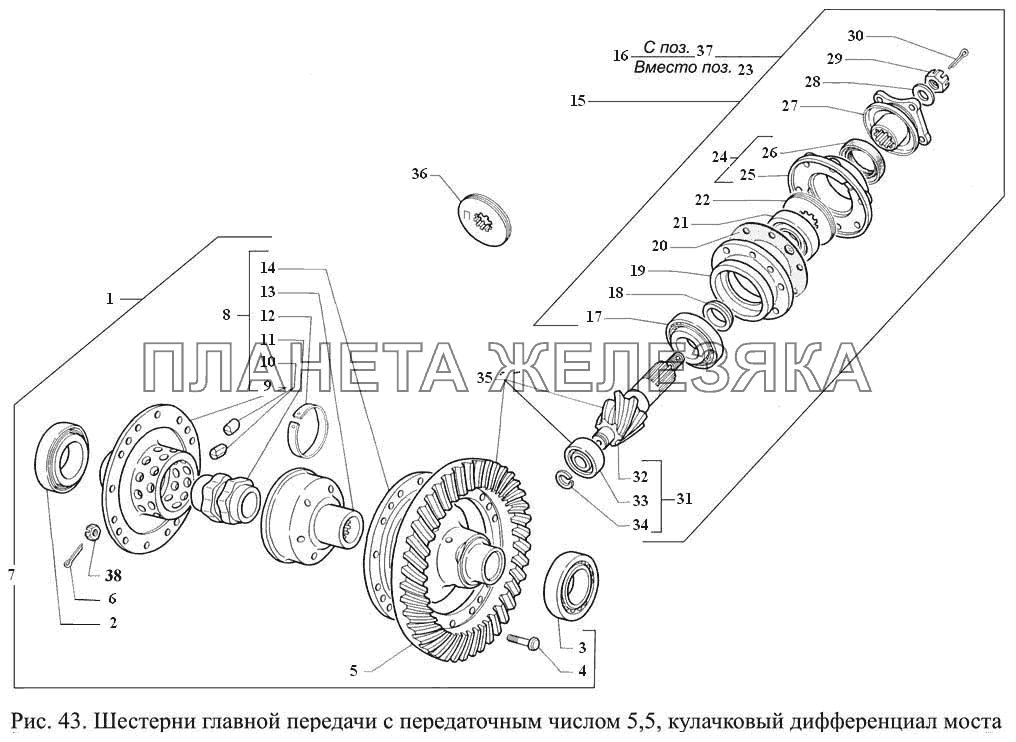 Шестерни главной передачи с передаточным числом 5,5, кулачковый дифференциал моста ГАЗ-3308