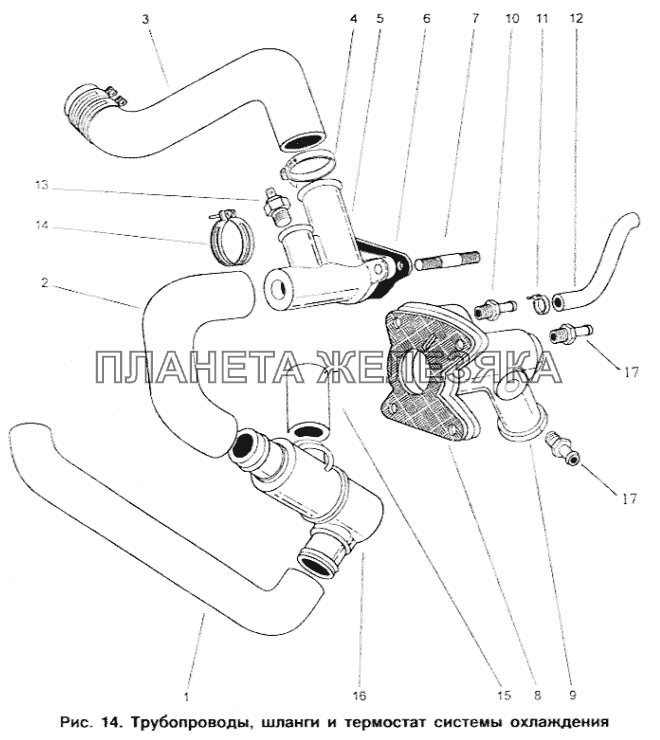 Трубопроводы, шланги и термостат системы охлаждения ИЖ 2717