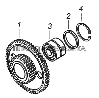 740.1029114 Шестерня, ведущая привода распределительного вала КамАЗ-43253 (Часть-1)