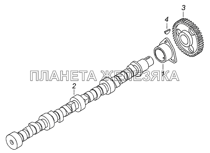 740.21-1006010 Распределительный вал КамАЗ-43253 (Часть-1) 740.21-1006010 Распределительный вал КамАЗ-43253 (Часть-1)