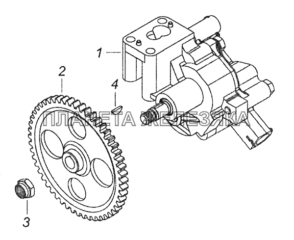 740.11-1011010 Насос масляный с шестерней КамАЗ-43253 (Часть-1)