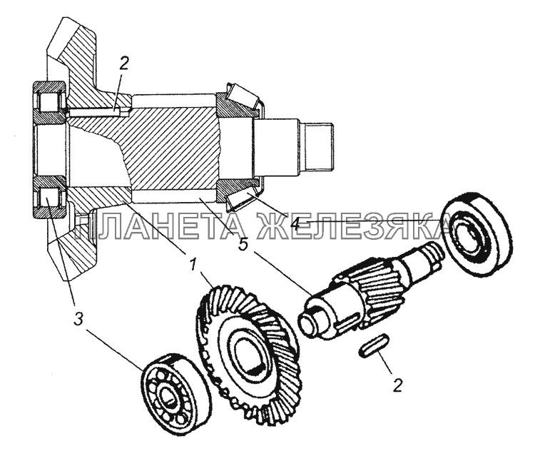 53205-2402064-10 Шестерня ведомая коническая в сборе КамАЗ-63501 8х8