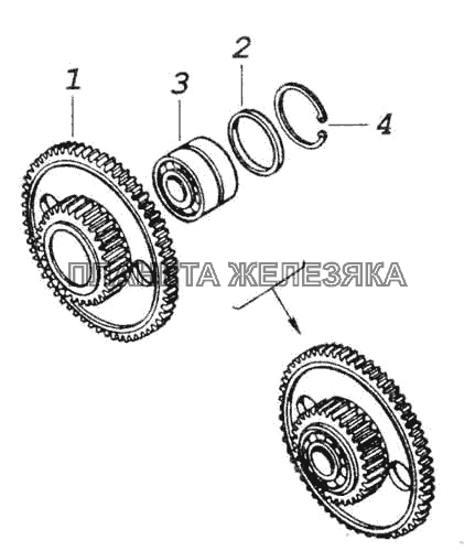 Шестерня ведущая привода распределительного вала КамАЗ-53228, 65111