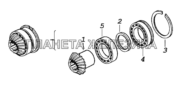 Шестерня ведомая углового редуктора КамАЗ-65116