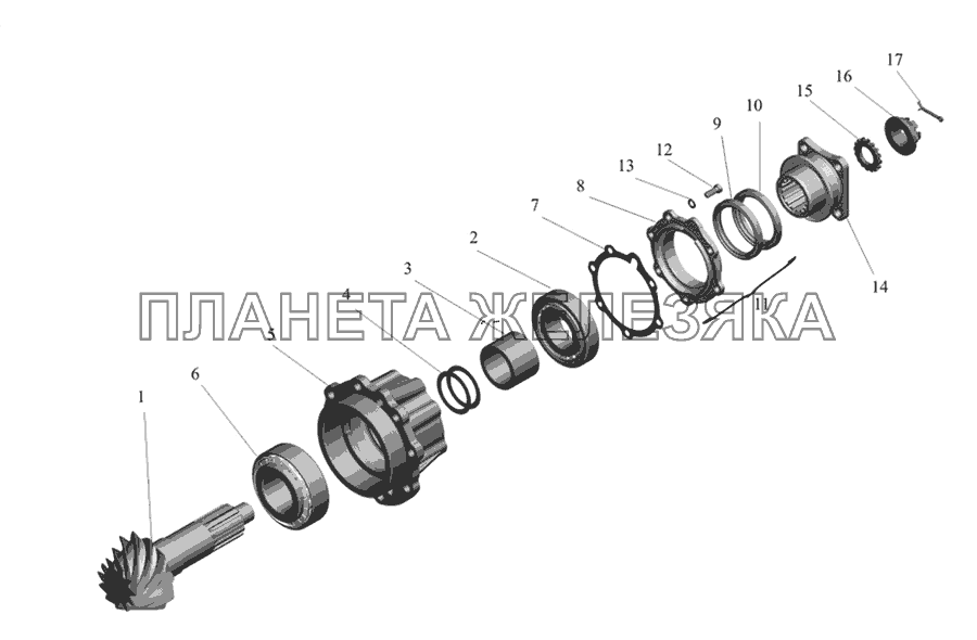 Редуктор заднего моста. Шестерня ведущая МАЗ-437030 (Зубренок)