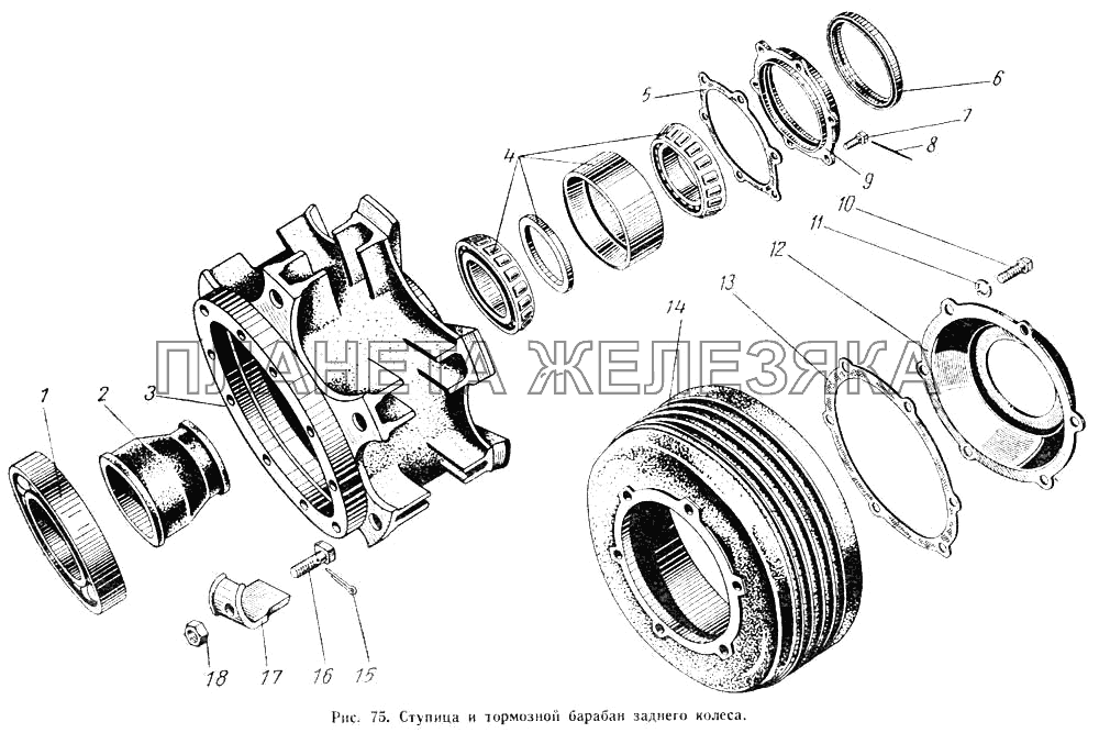 Ступица и тормозной барабан заднего колеса МАЗ-500А
