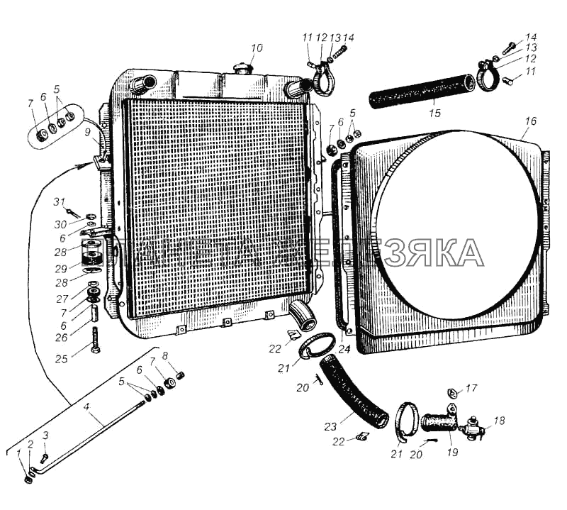 Радиатор и его крепление МАЗ-5335