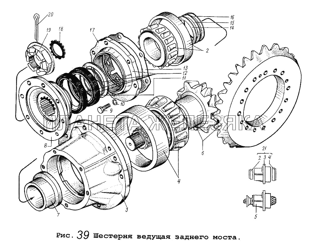 Шестерня ведущая заднего моста Общий (см. мод-ции)