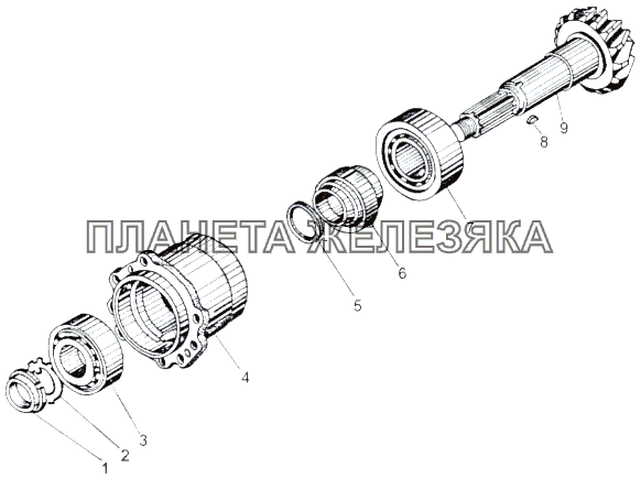 Шестерня коническая ведущая 543-2502021 МАЗ-543 (7310)