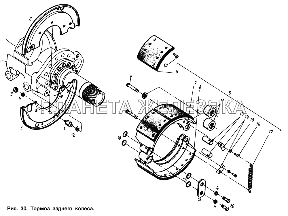 Тормоз заднего колеса МАЗ-64221