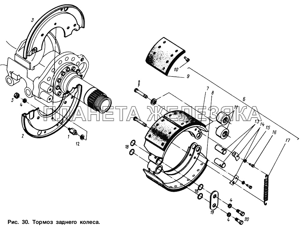 Тормоз заднего колеса МАЗ-54321