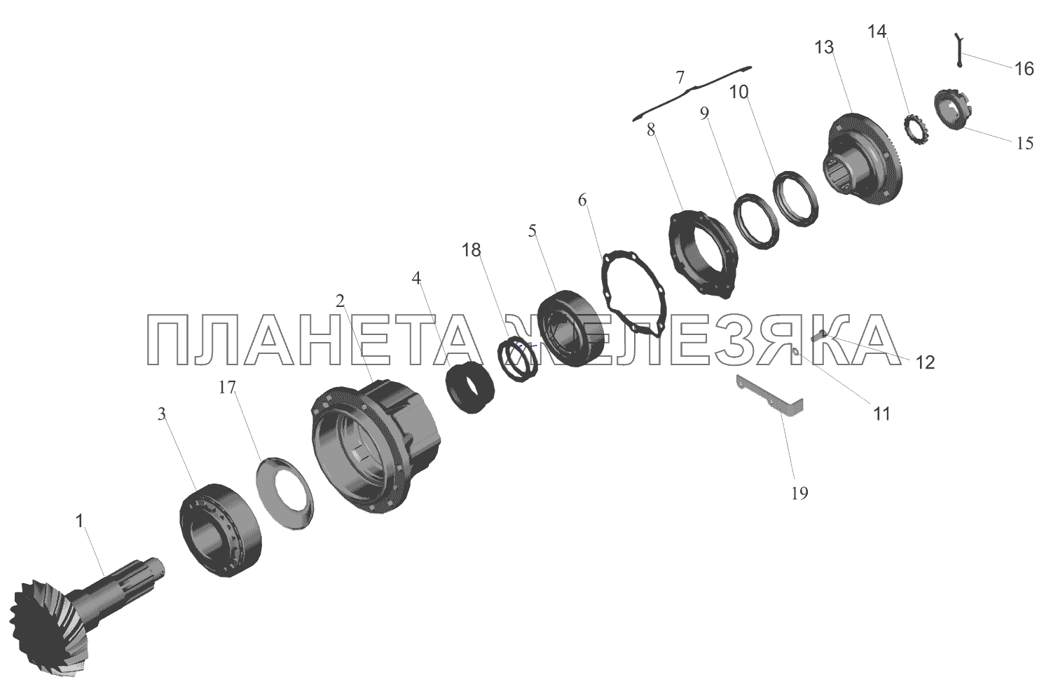 Редуктор заднего моста. Шестерня ведущая МАЗ-551669