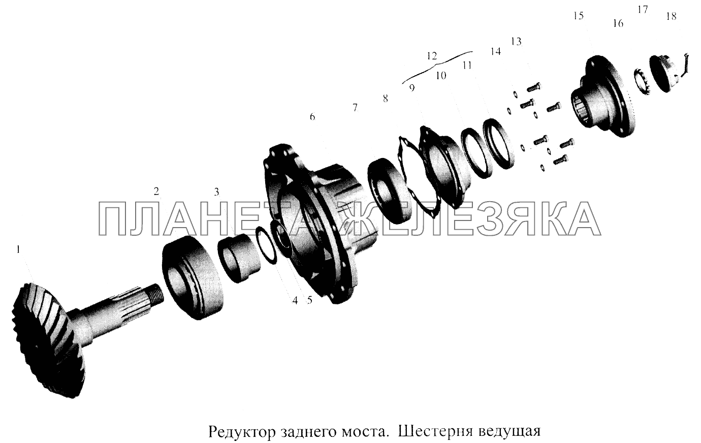 Редуктор заднего моста. Шестерня ведущая МАЗ-5516А5