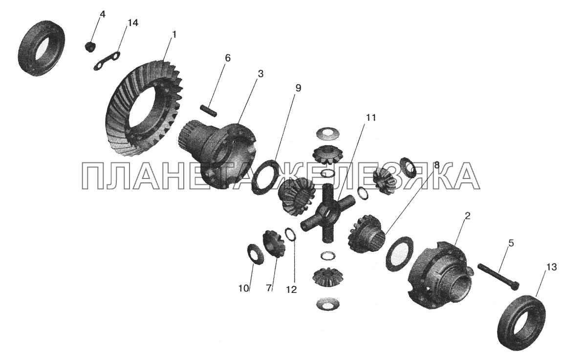 Редуктор заднего моста. Дифференциал МАЗ-5551 (2003)