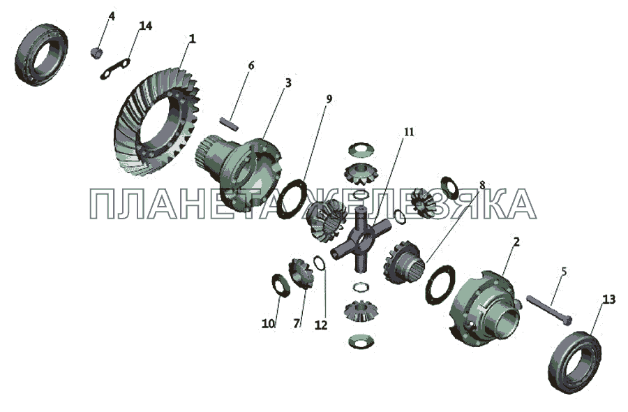 Редуктор заднего моста. Дифференциал МАЗ-642505, 642508