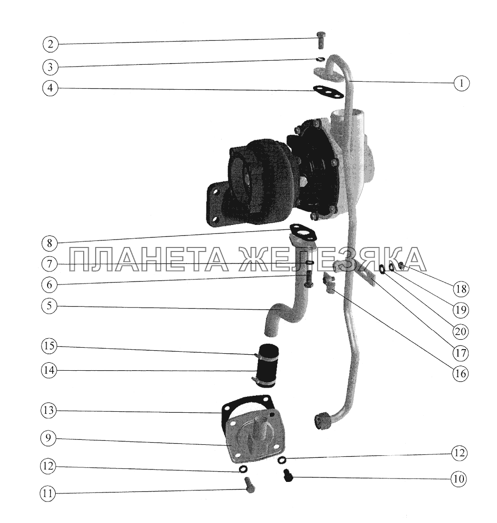 Маслопроводы турбокомпрессора (Д-245) Беларус-1025/1025.2/1025.3