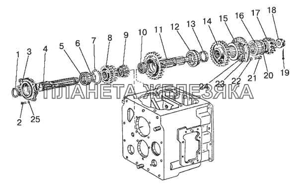 Вал первичный и вал вторичный механической КП МТЗ-821/921