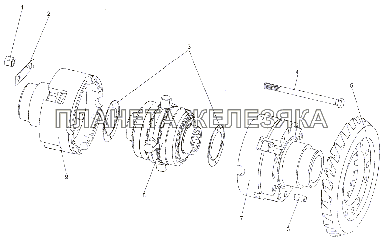 Дифференциалы 6923-2403010-20, 8007-2403010-20 МЗКТ-7402