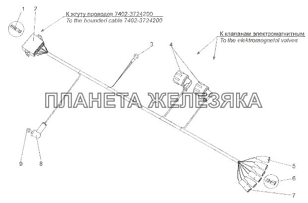 Жгут проводов 7402-3724594 МЗКТ-79011