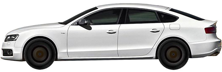 Диски AUDI S5 3.0 TFSI Quattro (2009-2011) R18