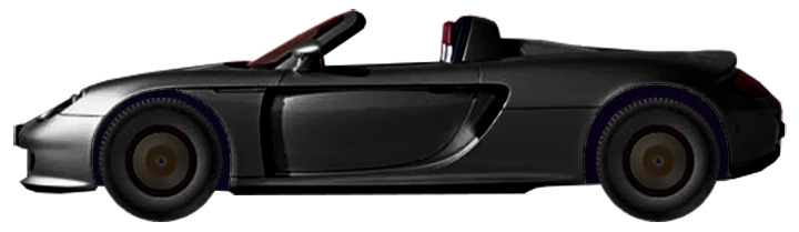 Диски на PORSCHE Carrera GT