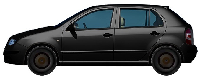 Диски на SKODA Fabia 6Y Hatchback (2004 - 2007)